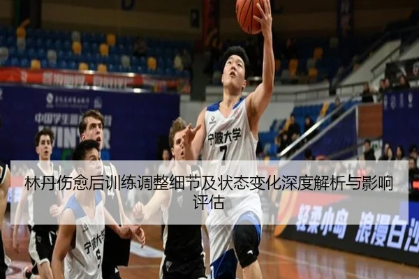 林丹伤愈后训练调整细节及状态变化深度解析与影响评估